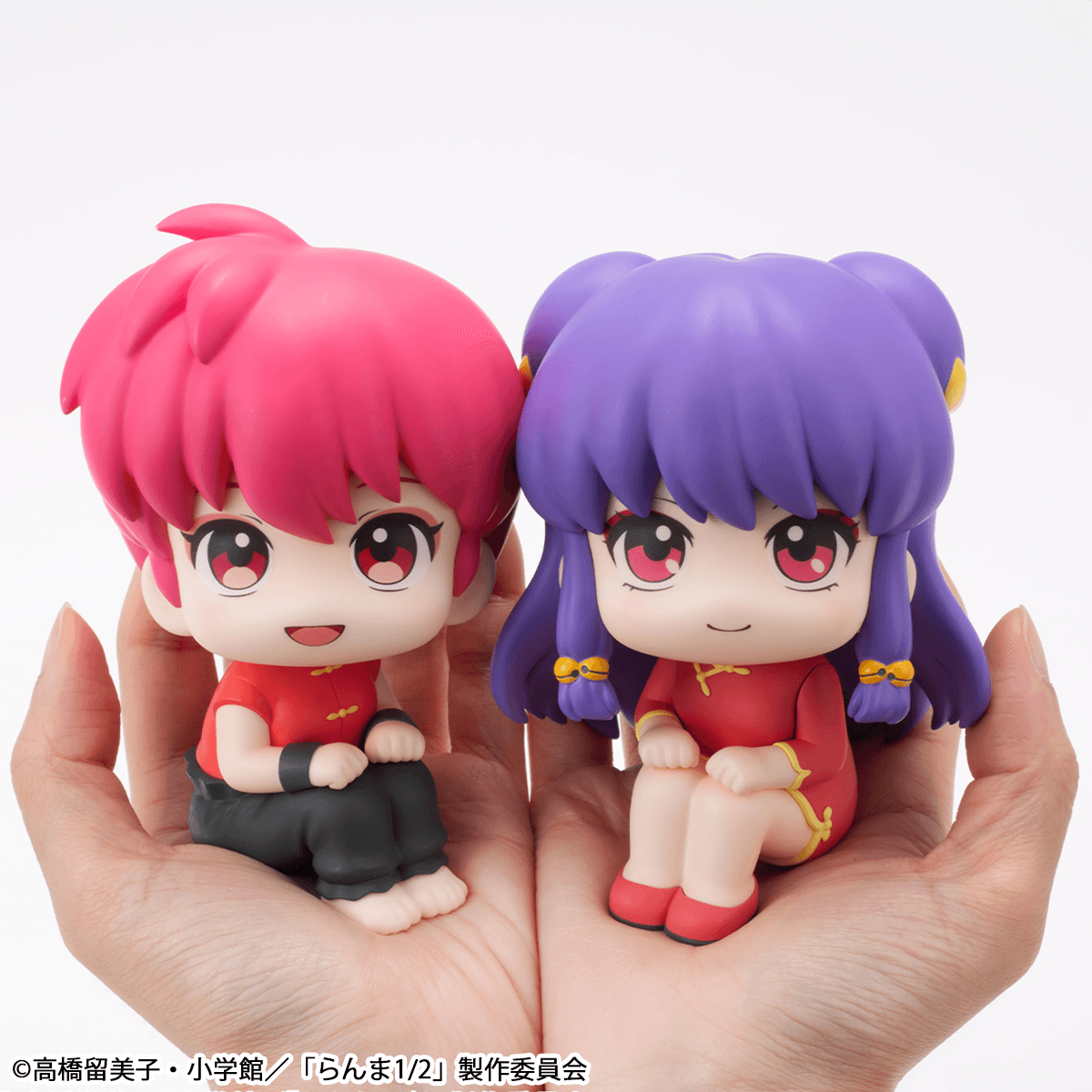 Lookup TV Anime Ranma 1ï¼2 Ranma & Shampoo setãwith giftã | 4535123847042