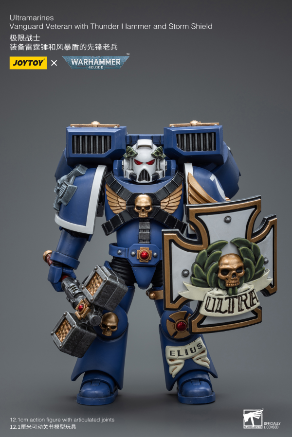Joy Toy Ultramarines Vanguard Veteran with Thunder Hammer and Storm Shield(6973130378032)(6973130378032)