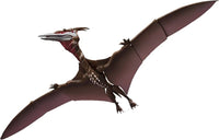 BANDAI Spirits Rodan (2021) -The second form- Godzilla S.P | 4573102634405