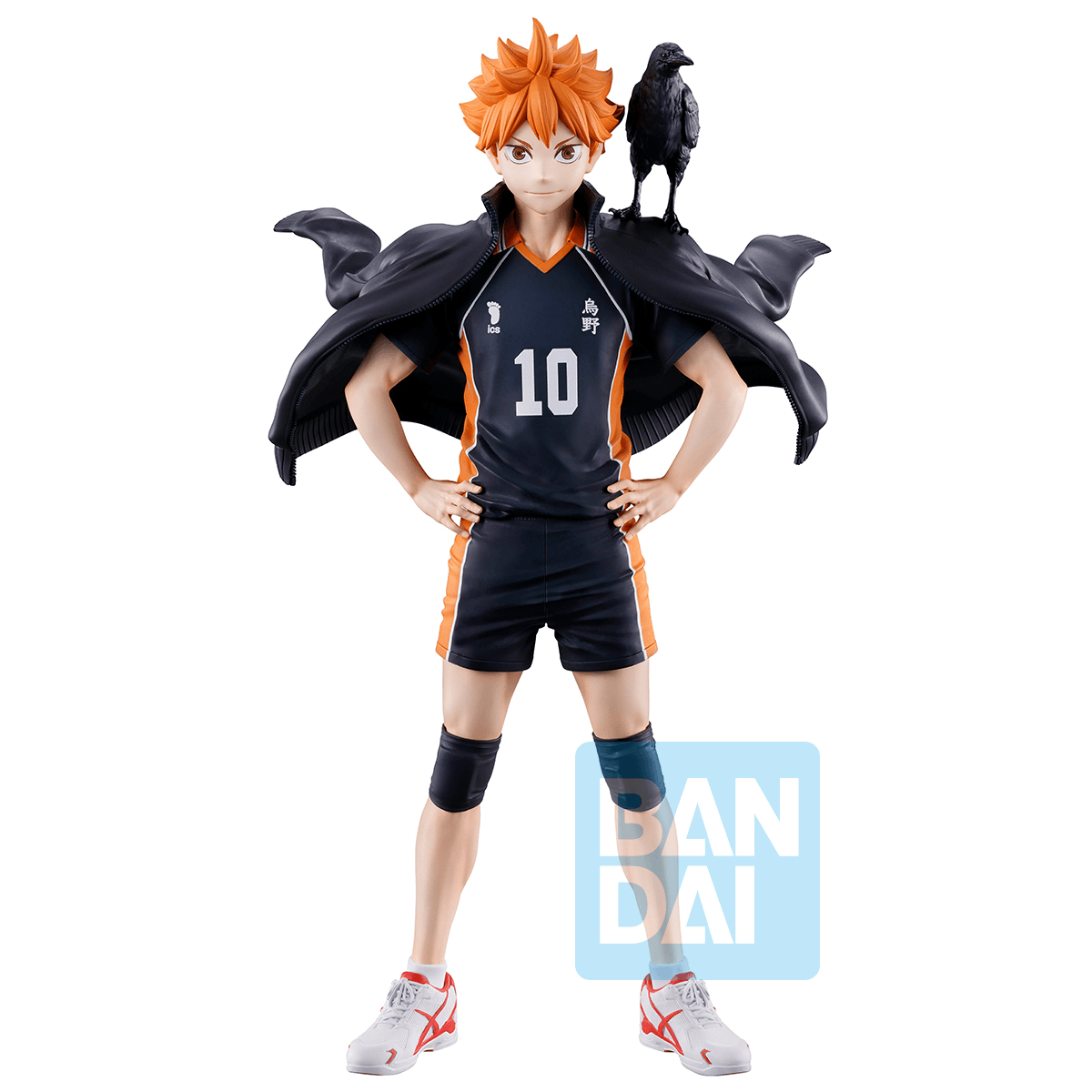 Shoyo Hinata (The Future of Karasuno) | 4573102724557