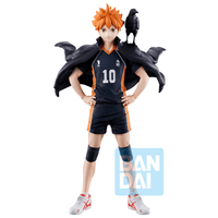 Shoyo Hinata (The Future of Karasuno) | 4573102724557