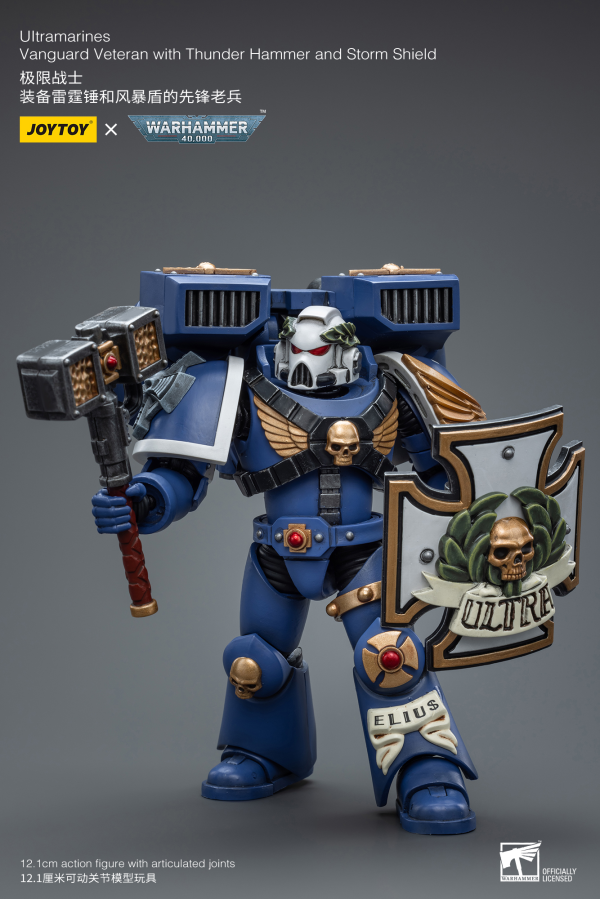 Joy Toy Ultramarines Vanguard Veteran with Thunder Hammer and Storm Shield(6973130378032)(6973130378032)