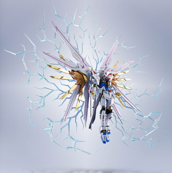 BANDAI Tamashii PROUD DEFENDER ＆ EFFECT PARTS SET "GUNDAM SEED FREEDOM", TAMASHII NATIONS METAL ROBOT SPIRITS | 4573102673183