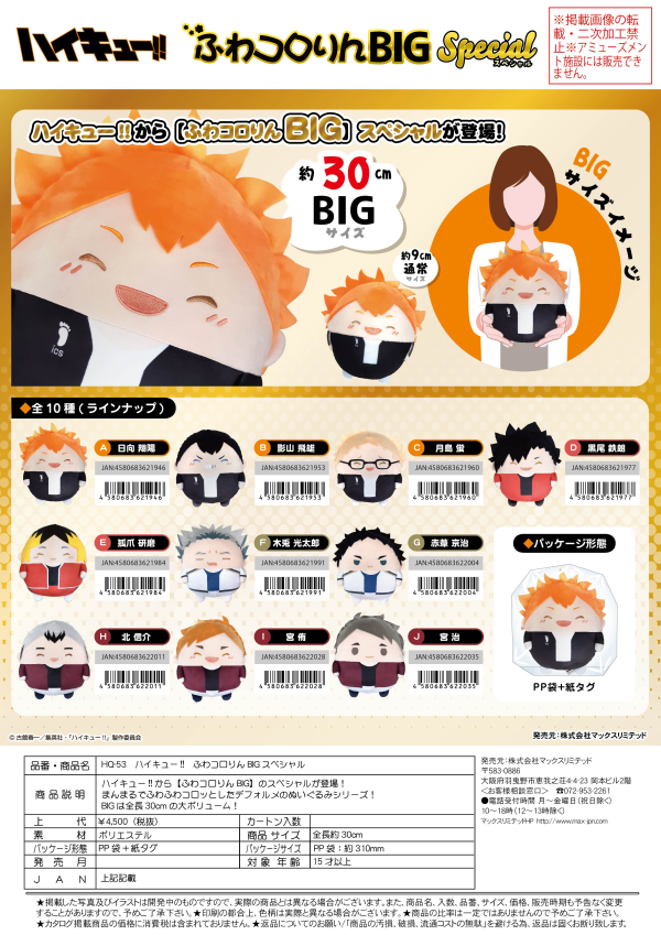Haikyu FUWA KORORIN BIG SPECIAL (B) | 4580683621953