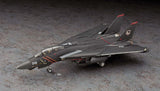 Hasegawa 1/72  F-14A TOMCAT "ACE COMBAT RAZGRIZ"