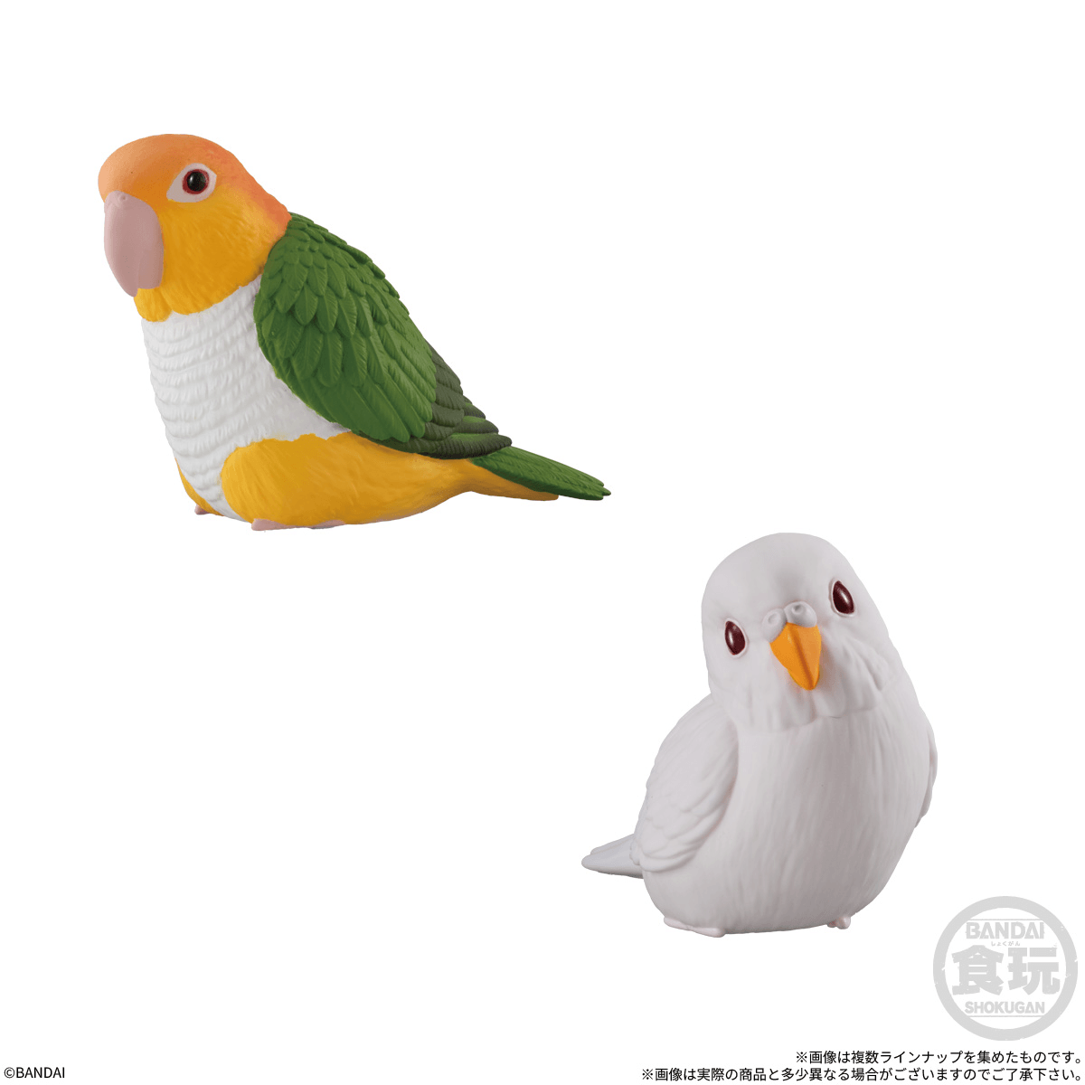 Tenori Friends 13 (Open Box/12)