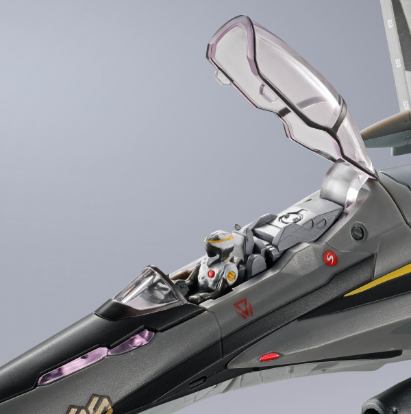 BANDAI Tamashii VF-25S ARMORED MESSIAH VALKYRIE(OZMA・LEE USE) RIVIVAL Ver. "MACROSS", TAMASHII NATIONS DX CHOGOKIN(4573102667762)(4573102667762)