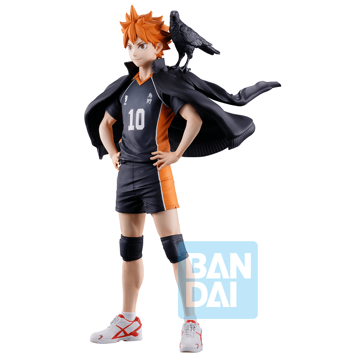 Shoyo Hinata (The Future of Karasuno) | 4573102724557