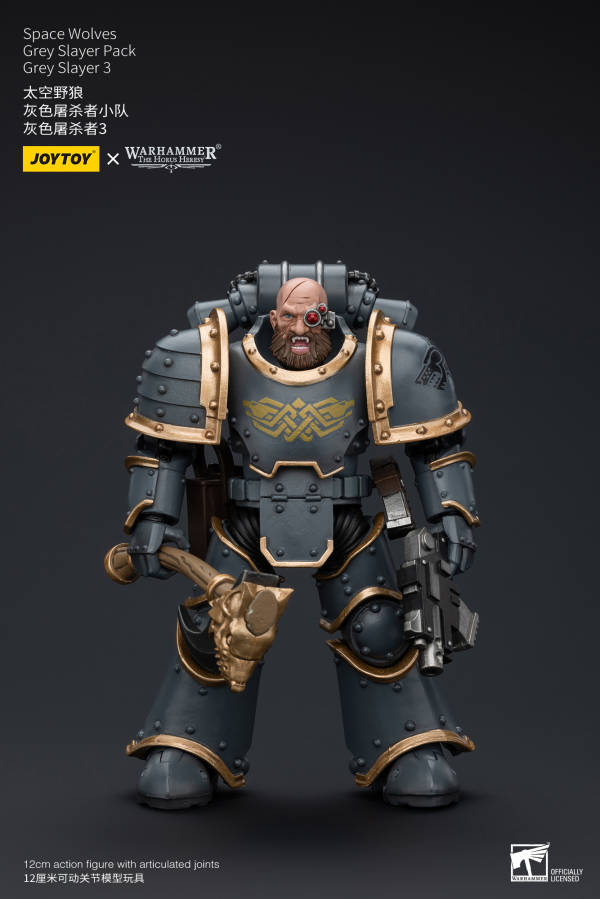 Joy Toy Space Wolves Grey Slayer Pack Grey Slayer3 | 6973130376076
