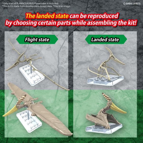 BANDAI Hobby PLANNOSAURUS Pteranodon