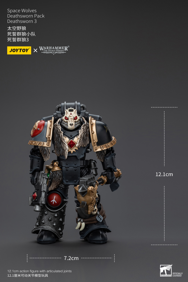 Joy Toy Space Wolves Deathsworn Pack Deathsworn 3