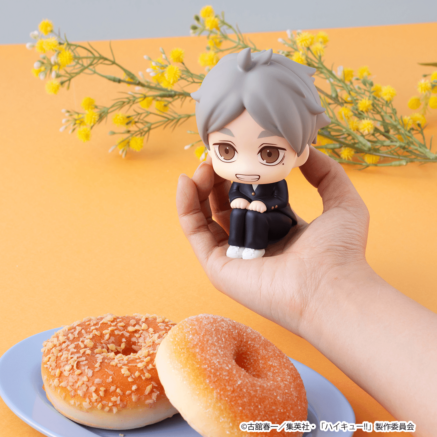 Lookup Haikyu!! Koushi Sugawara | 4535123851018