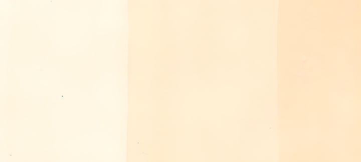 Copic Ciao Marker Earths, Pale Fruit Pink E000