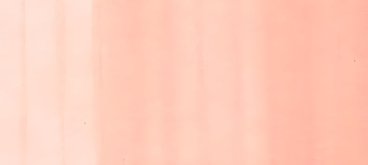 Copic Ciao Marker Red Violets, Salmon Pink RV42