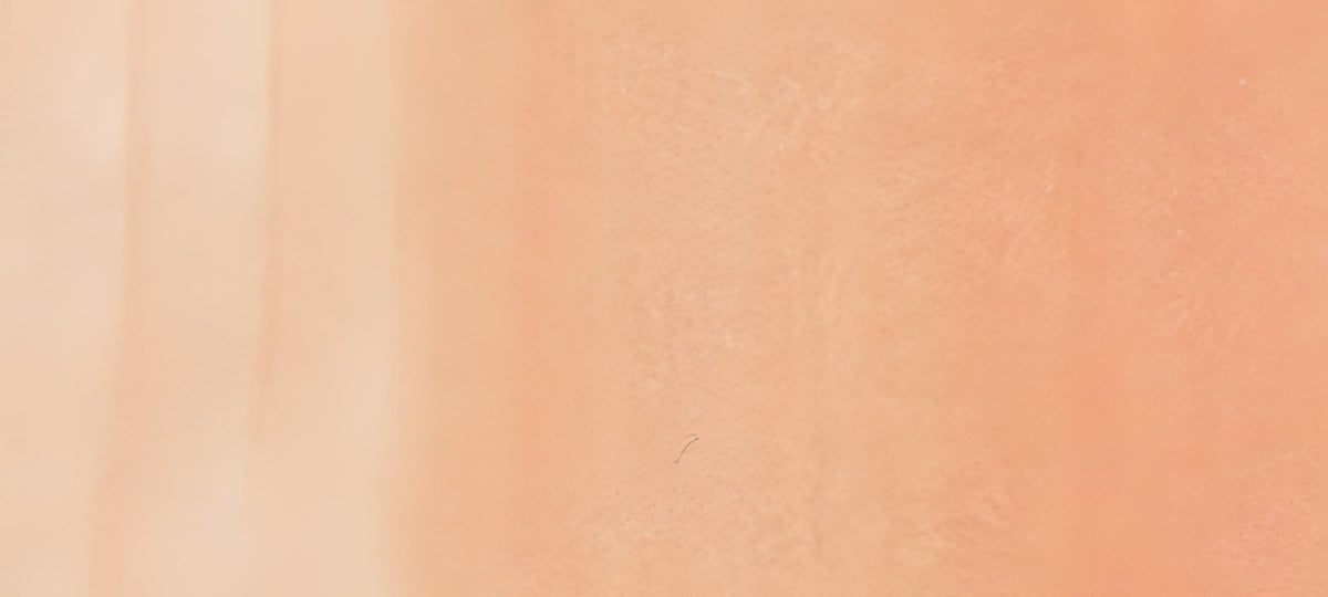 Copic Ciao Marker Reds, Blush R20