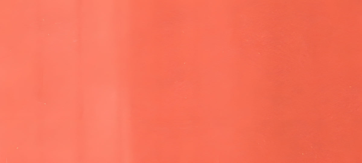 Copic Ciao Marker Reds, Light Prawn R22