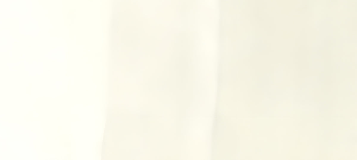 Copic Sketch Marker Grays, Warm Gray W00