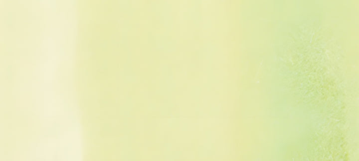 Copic Sketch Marker Greens, Dim Green G40