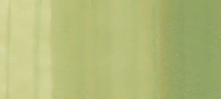 Copic Sketch Marker Greens, Spring Dim Green G82