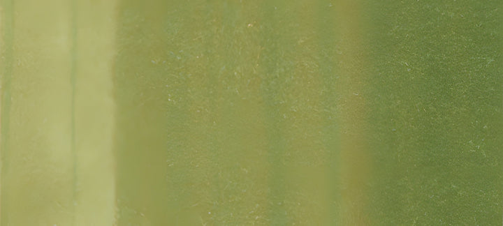 Copic Sketch Marker Greens, Willow G24