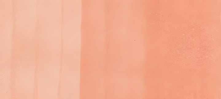 Copic Sketch Marker Reds, Sardonyx R21