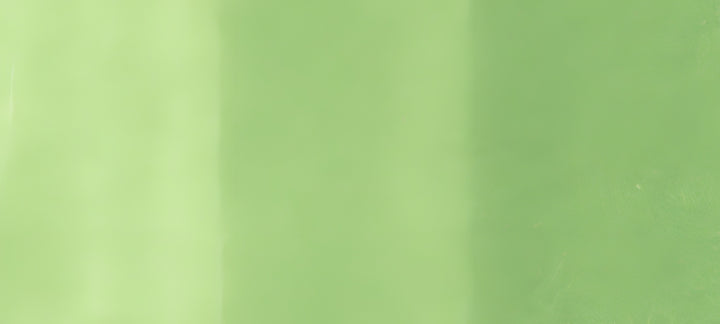 Copic Sketch Marker Yellow Greens, Chartreuse YG13