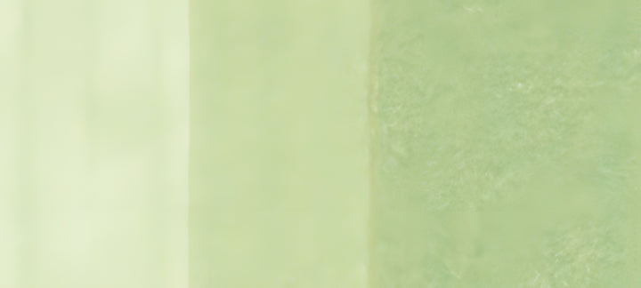 Copic Sketch Marker Yellow Greens, Pale Moss YG61