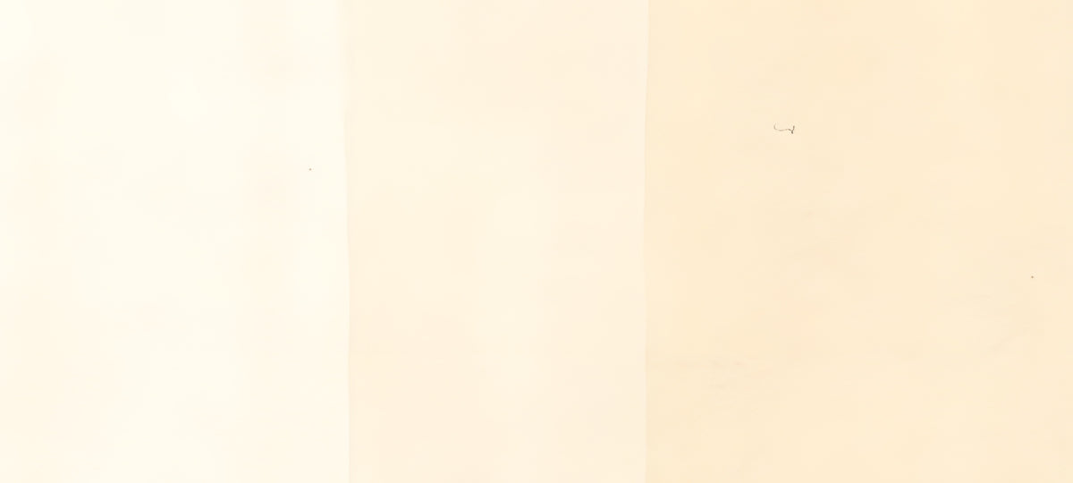 Copic Sketch Marker Yellow Reds, Pale Chiffon YR0000