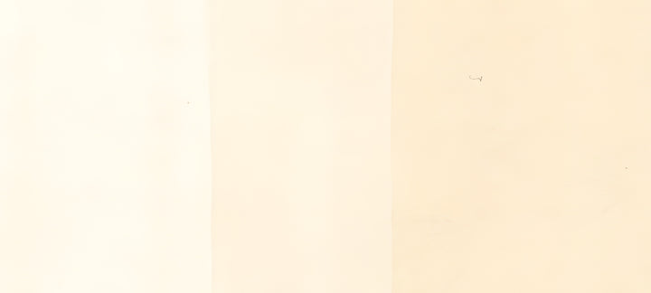 Copic Sketch Marker Yellow Reds, Pale Chiffon YR0000