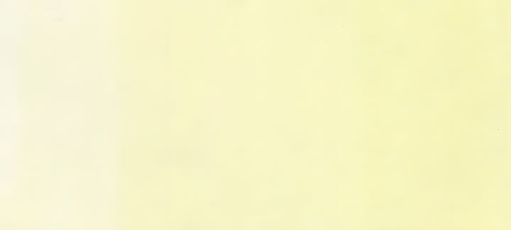 Copic Sketch Marker Yellows, Pale Lemon Y000