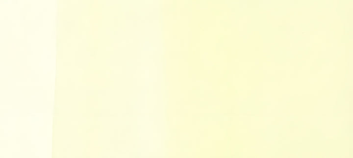 Copic Sketch Marker Yellows, Yellow Fluorite Y0000