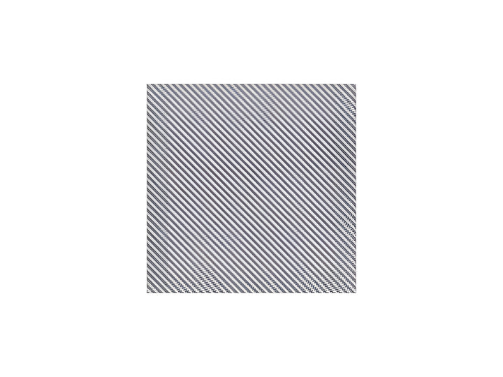 Hasegawa Silver Carbon Finish 20