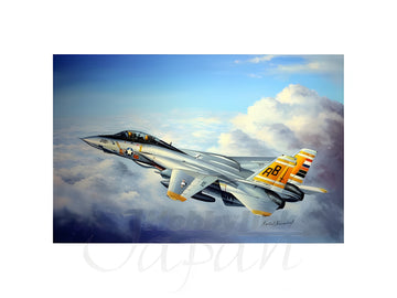 Hobby Boss 1/48 F-14A Tomcat