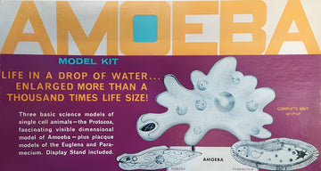 Atlantis Amoeba Single Cell Model Kit STEM