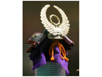 Doyusha 1/4 Samurai Armet "Ieyasu Tokugawa"