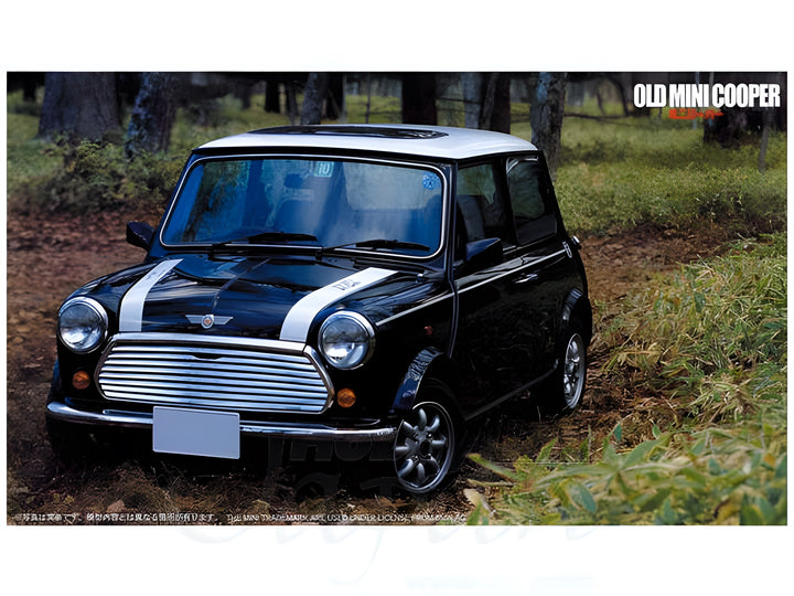 Fujimi 1/24 Rover MINI Cooper Car