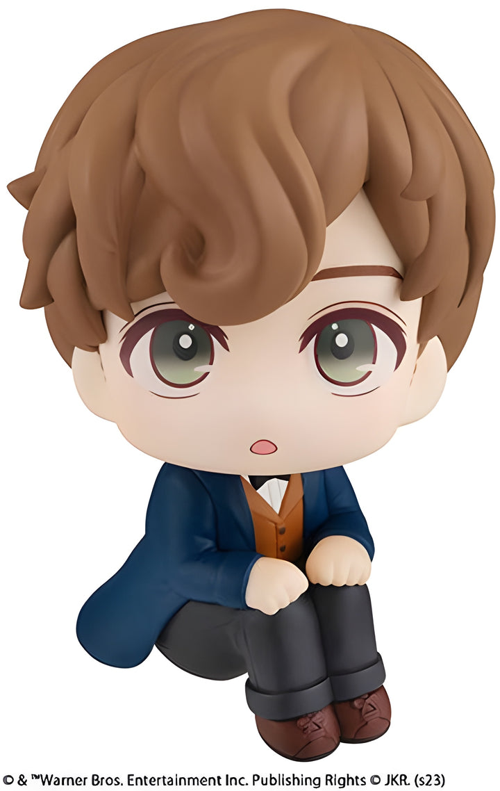 Lookup Fantastic Beasts Newt Scamander