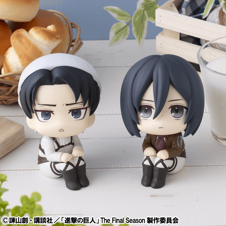 Lookup Attack on Titan Levi Cleaning up Ver. & Mikasa Ackerman set【with gift】 | 4535123849435