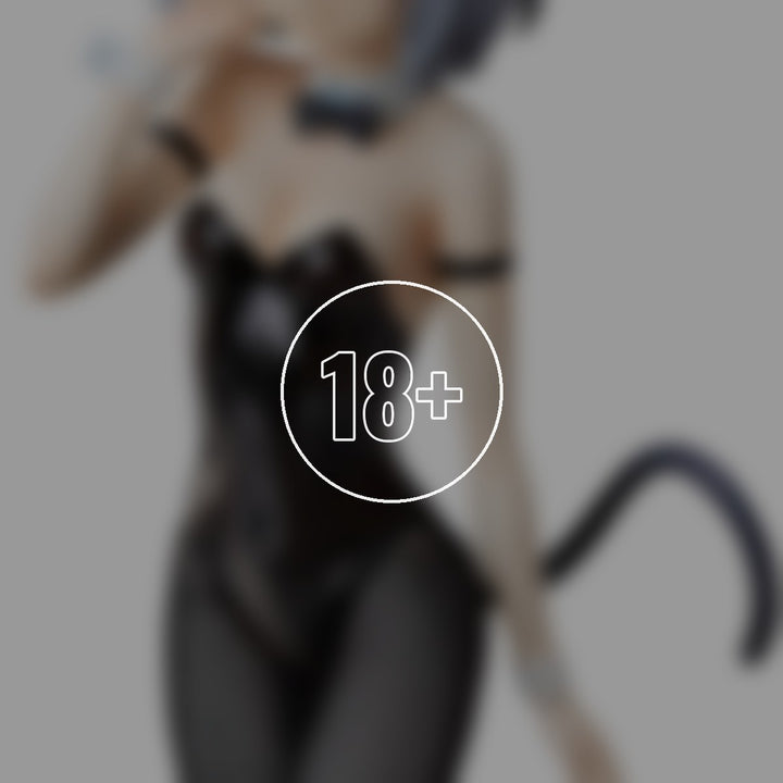 Sanya V. Litvyak: Bunny Style Ver. - 18+ adults only cover