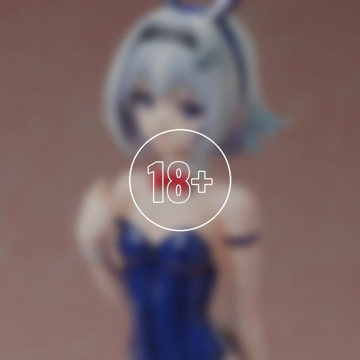 Ginko Sora: Bare Leg Bunny Ver. - 18+ adults only cover