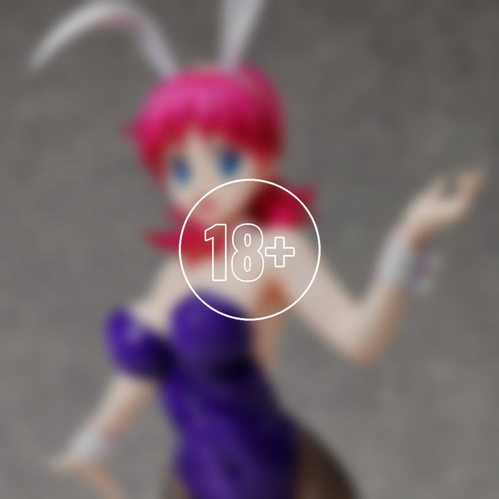 Shizuka Misaki: Bunny Ver. - 18+ adults only cover