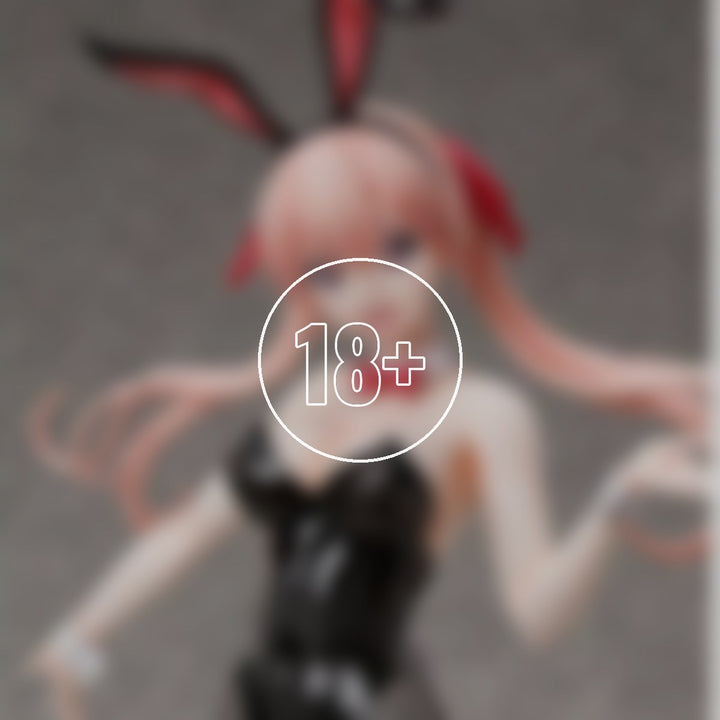 Erika Amano: Bunny Ver. - 18+ adults only cover