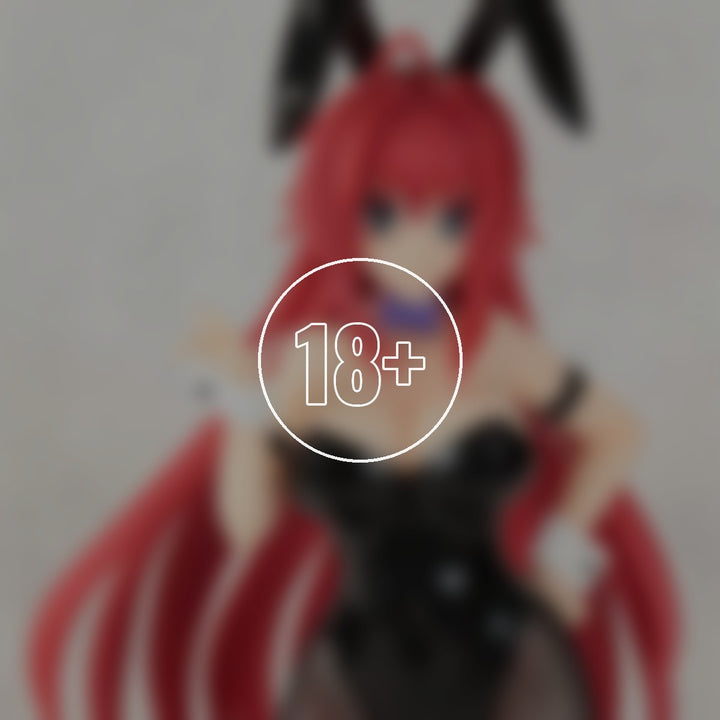 High School D x D BorN Rias Gremory Bunny ver. 1/6 Complete Figure(4th-run) - 18+ adults only cover