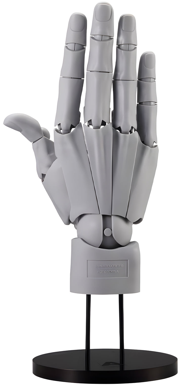 Artist Support Item Hand Model Men’s/R -Gray-