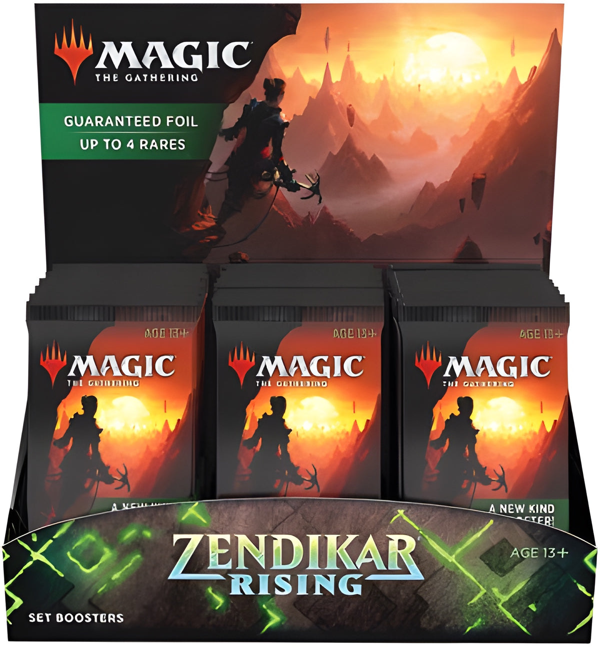 MTG: Zendikar Rising Set Booster Display