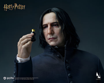 Harry Potter and the Half-Blood Prince - Severus Snape 1/6 Collectible Figure