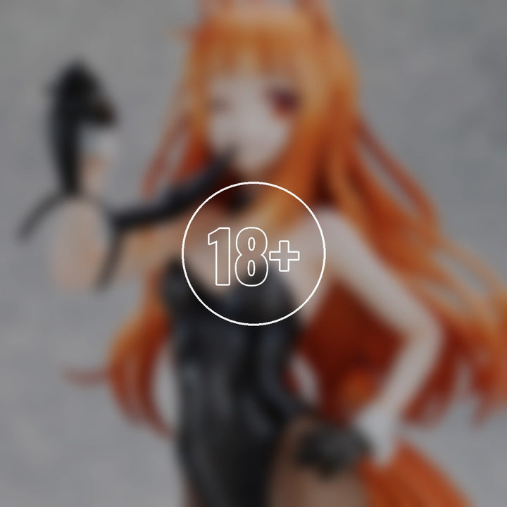 Spice and Wolf: MERCHANT MEETS THE WISE WOLF Holo Light Novel bunny ver. illustration by Jyuu Ayakura - 18+ adults only cover