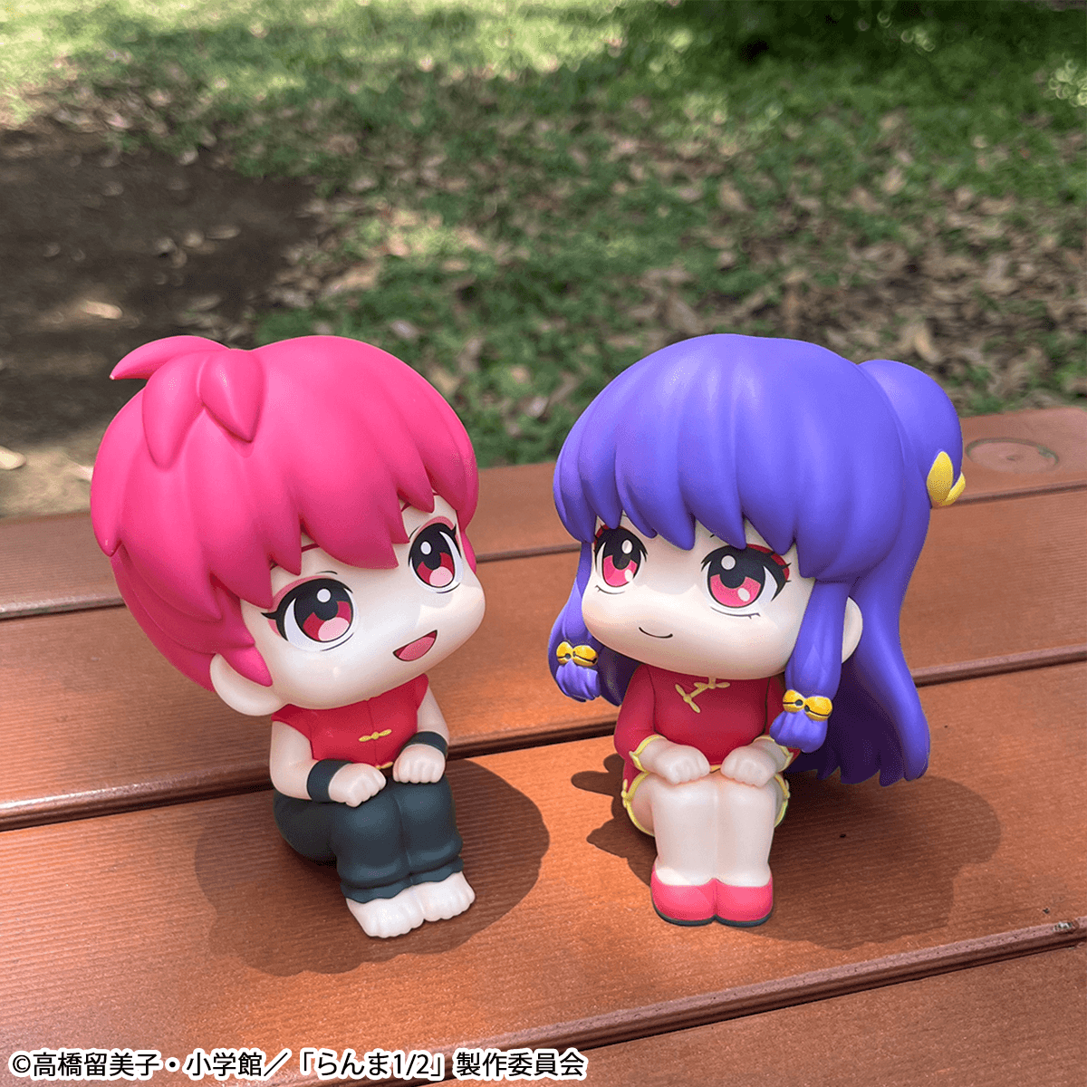 Lookup TV Anime Ranma 1ï¼2 Ranma & Shampoo setãwith giftã | 4535123847042