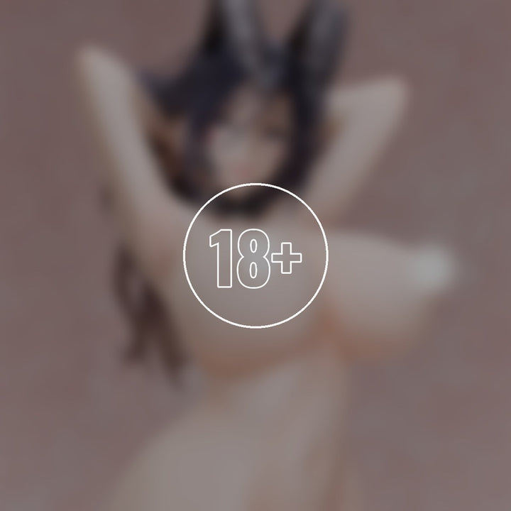Dress-up Onee-san Bunny Ver. - 18+ adults only cover