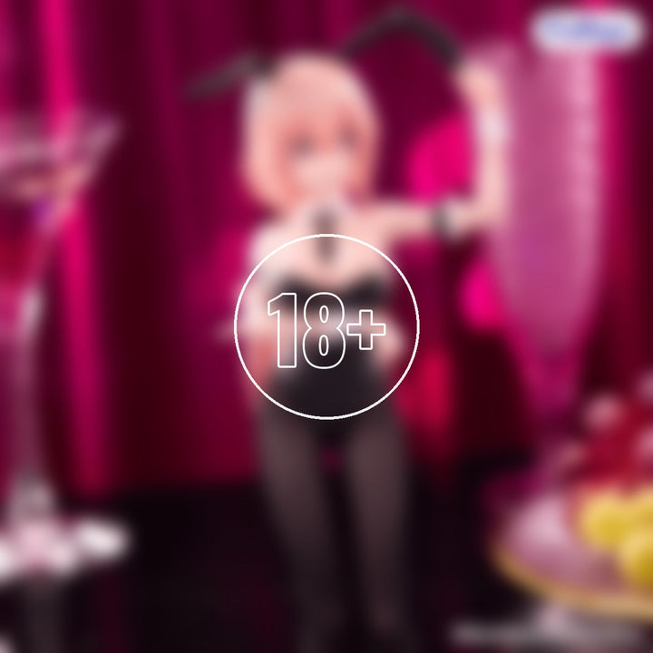 There Is Also a Hole in the Student Organization! BiCute Bunnies Figure -Komaro Michinoku- - 18+ adults only cover